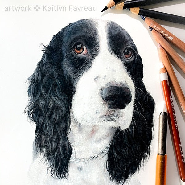 Tools for Colored Pencil Art – Slice